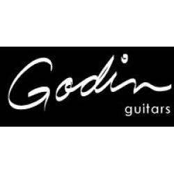 Godin